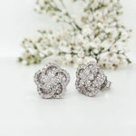 Load image into Gallery viewer, 18k White Gold 2.60 Carat Earrings
