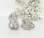 Load image into Gallery viewer, 18k White Gold 4.49 Carat Earrings
