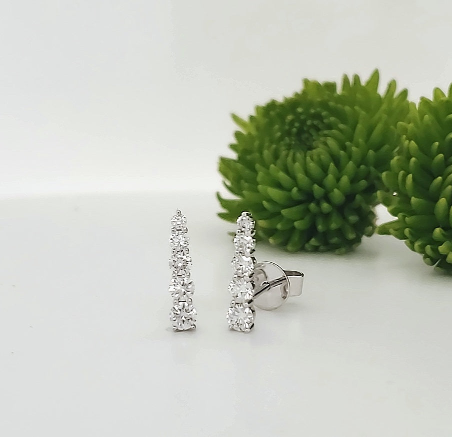 18k White Gold 0.60 Carat Earrings