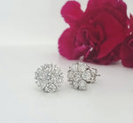Load image into Gallery viewer, 14k White Gold 2.77 Carat Earrings
