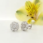 Load image into Gallery viewer, 14k White Gold 4.30 Carat Earrings
